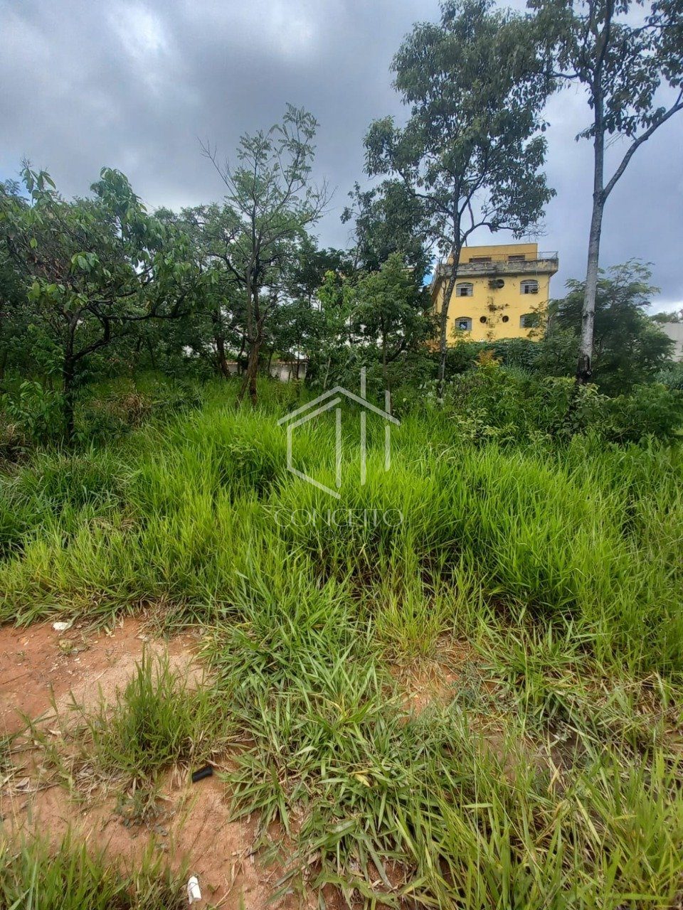 Foto 1 de 24 — 02 lotes no bairro São Bernardo