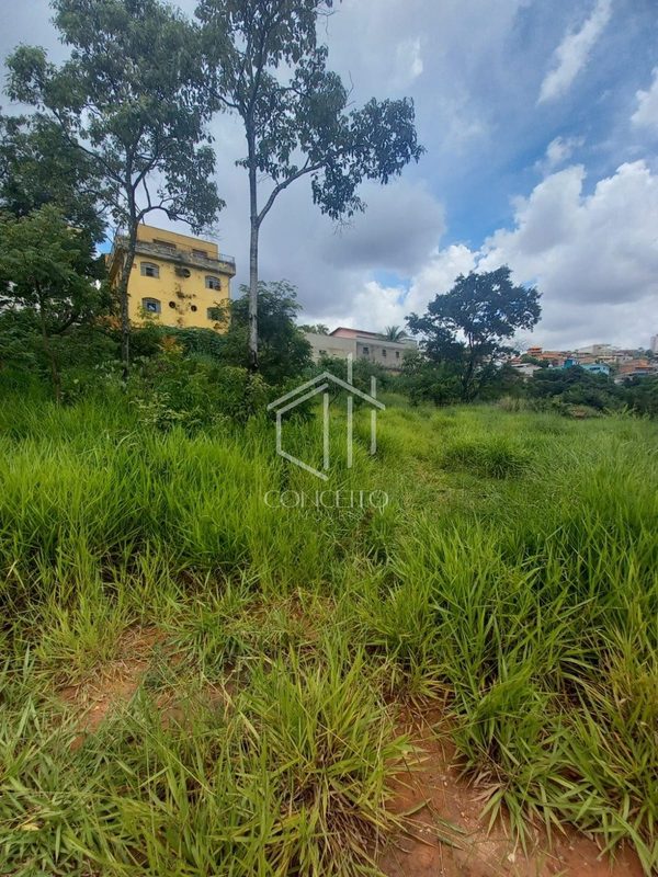 Foto 5 de 24 — 02 lotes no bairro São Bernardo