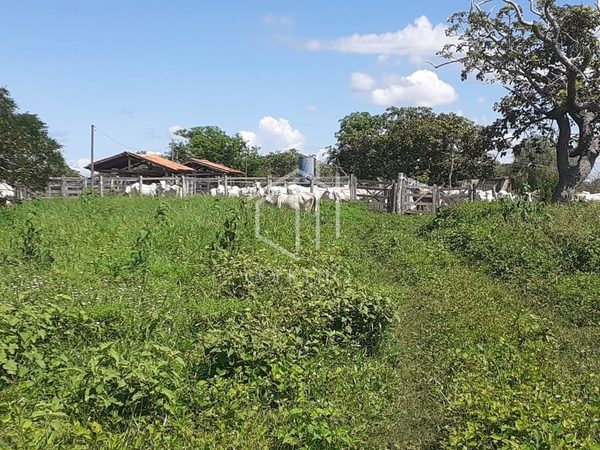 Foto 4 de 30 — FAZENDA À VENDA 2.346 hECTARES · SÃO FRANCISCO MG